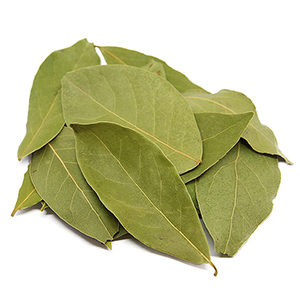 laurel leaves